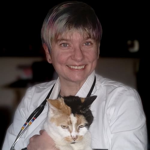 Dr. Elizabeth Hughs, Kent Veterinarian